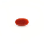 Red Coral - 5.1 Carat - Pramogh