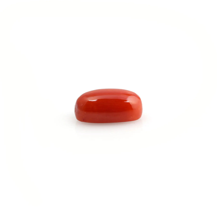 Red Coral - 5.1 Carat - Pramogh