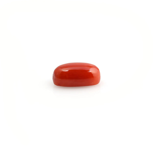 Red Coral - 5.1 Carat