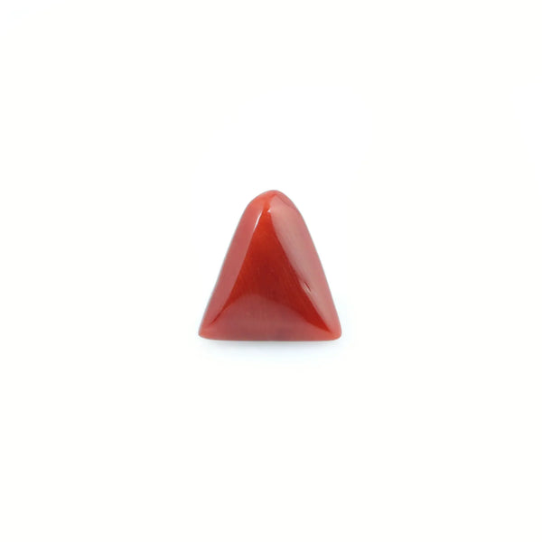 Red Coral - 4.8 Carat