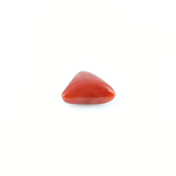 Red Coral - 4.8 Carat