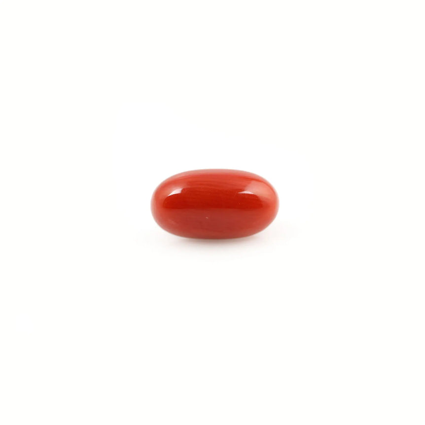 Red Coral - 4.23 Carat - Pramogh