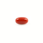 Red Coral - 4.23 Carat - Pramogh
