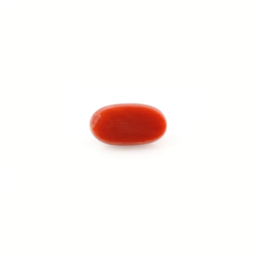 Red Coral - 4.23 Carat - Pramogh