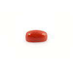 Red Coral - 4.23 Carat - Pramogh