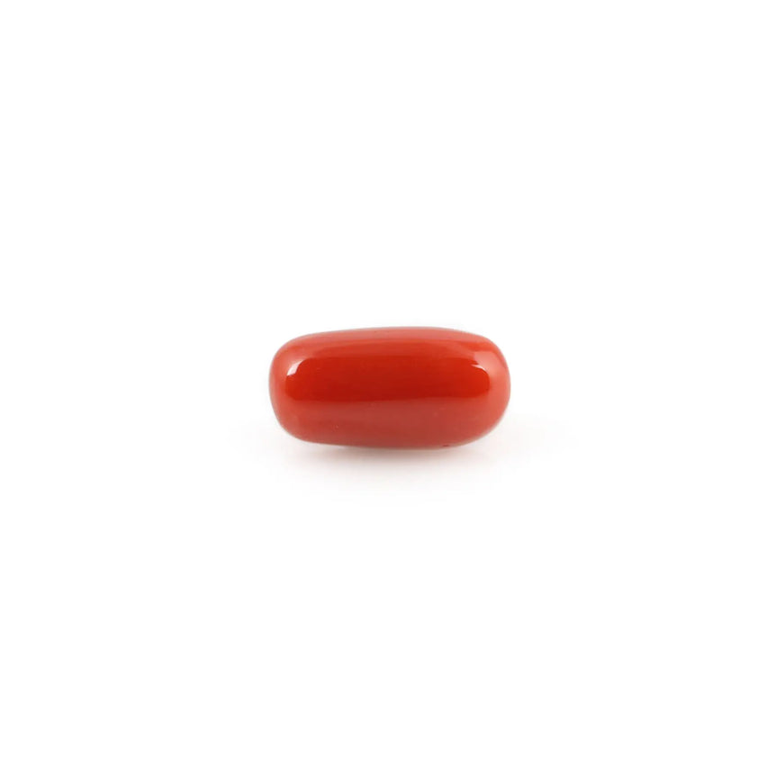 Red Coral - 4.88 Carat - Pramogh