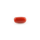 Red Coral - 4.88 Carat - Pramogh