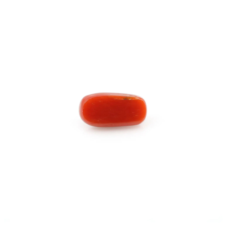 Red Coral - 4.88 Carat - Pramogh