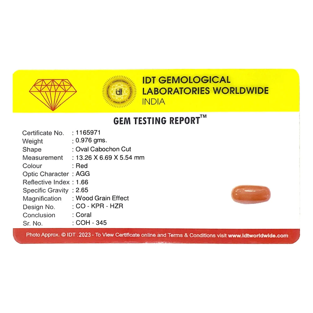 Red Coral - 4.88 Carat - Pramogh