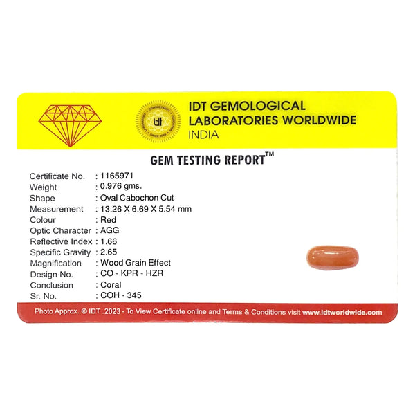 Red Coral - 4.88 Carat - Pramogh