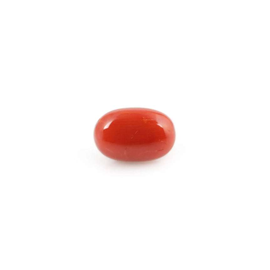 Red Coral - 4.25 Carat - Pramogh