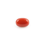 Red Coral - 4.25 Carat - Pramogh