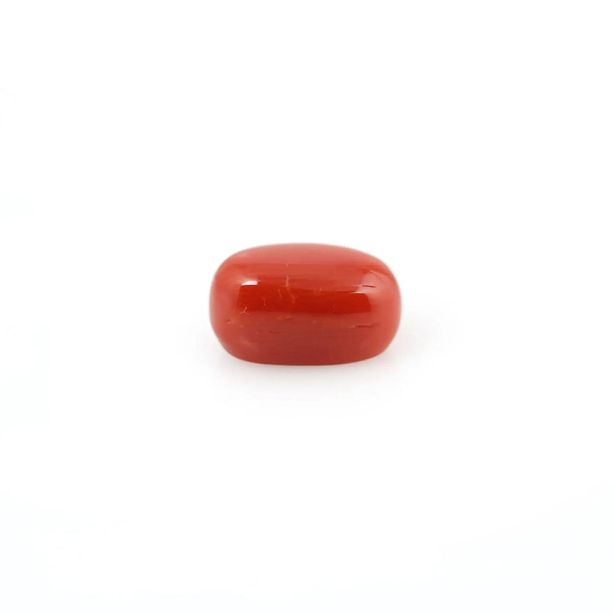 Red Coral - 4.25 Carat - Pramogh
