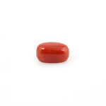 Red Coral - 4.25 Carat - Pramogh