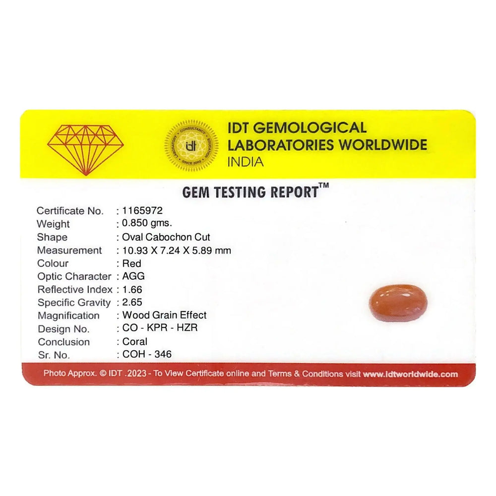 Red Coral - 4.25 Carat - Pramogh