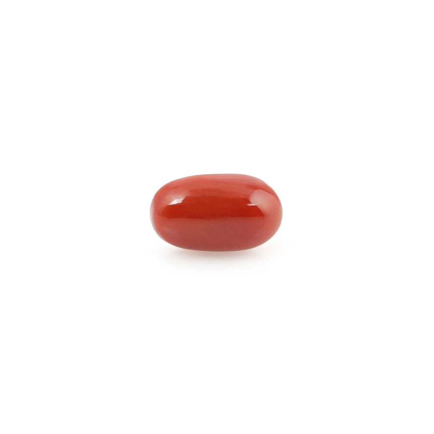 Red Coral - 4.2 Carat - Pramogh