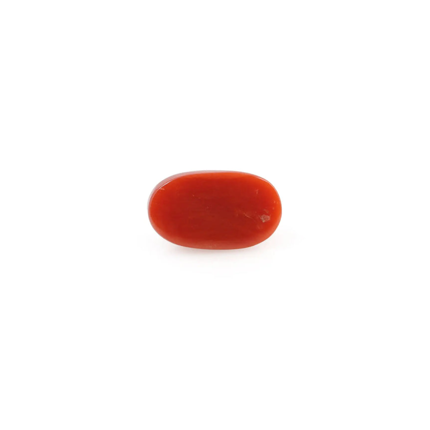 Red Coral - 4.2 Carat - Pramogh