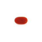 Red Coral - 4.2 Carat - Pramogh