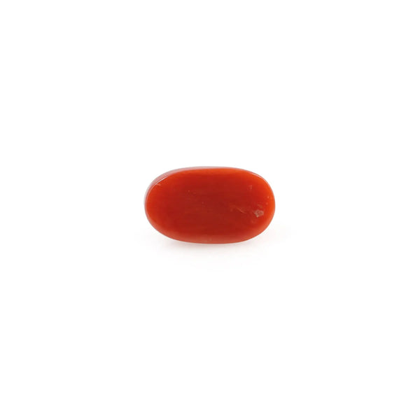 Red Coral - 4.2 Carat