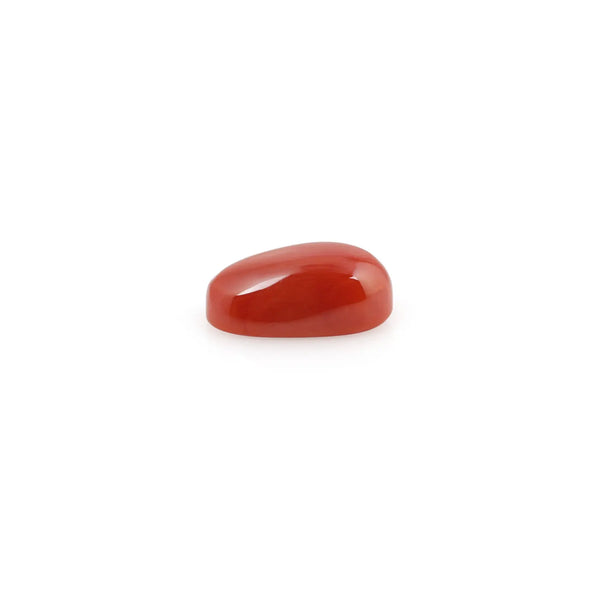 Red Coral - 4.2 Carat