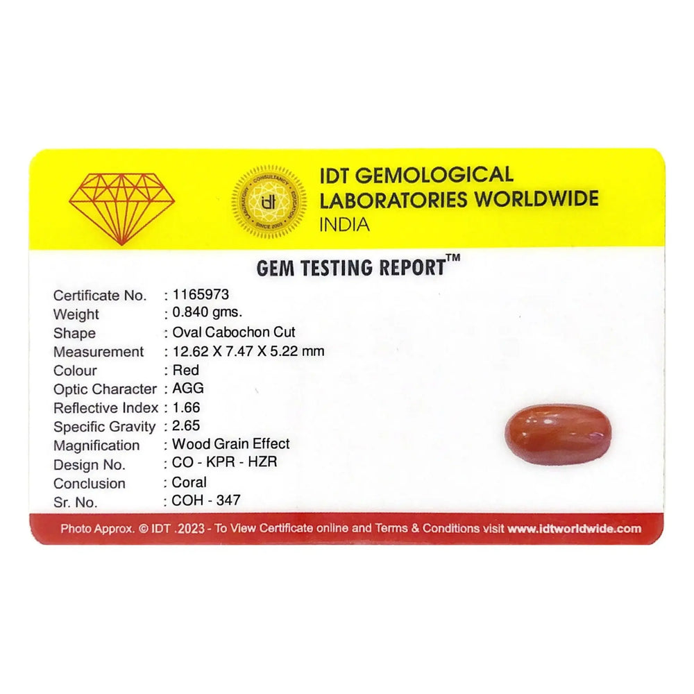 Red Coral - 4.2 Carat - Pramogh