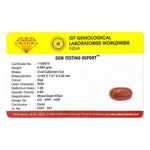 Red Coral - 4.2 Carat - Pramogh