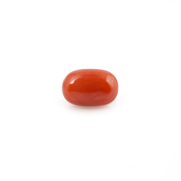 Red Coral - 4.27 Carat