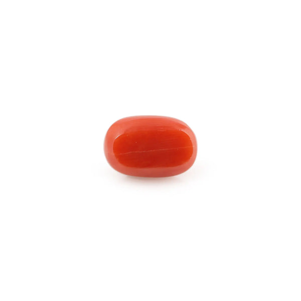 Red Coral - 4.27 Carat