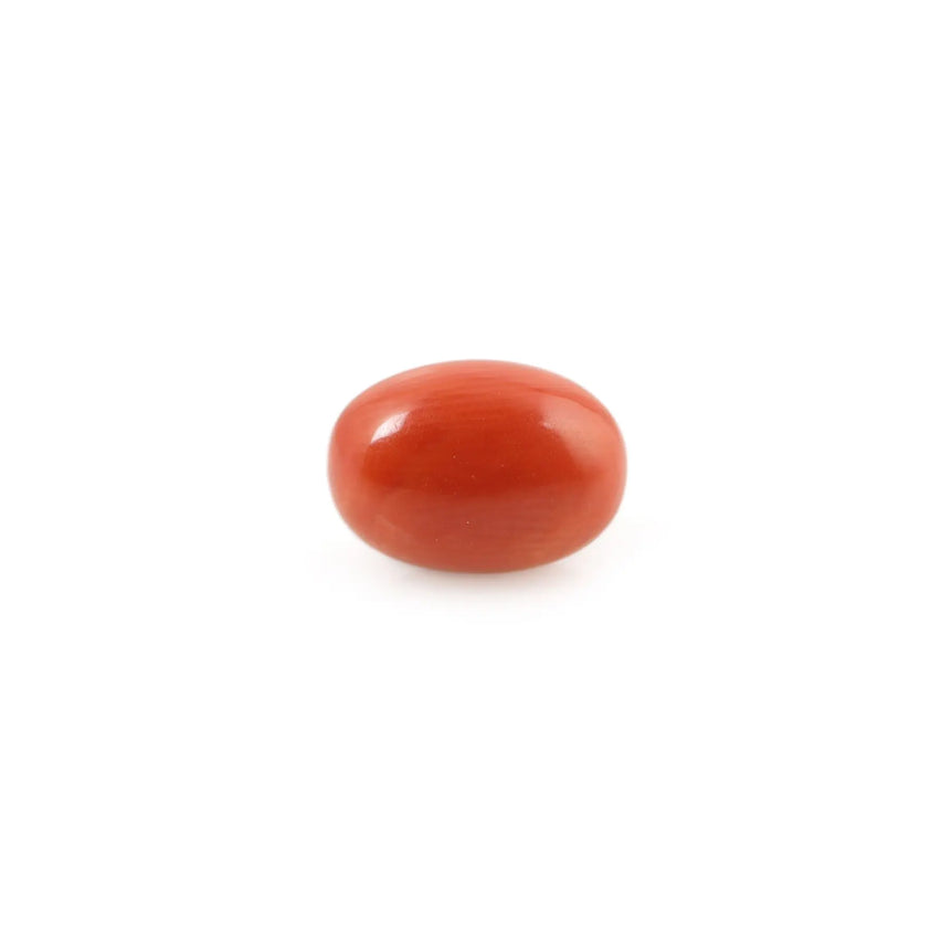 Red Coral - 4.26 Carat - Pramogh