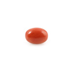 Red Coral - 4.26 Carat - Pramogh