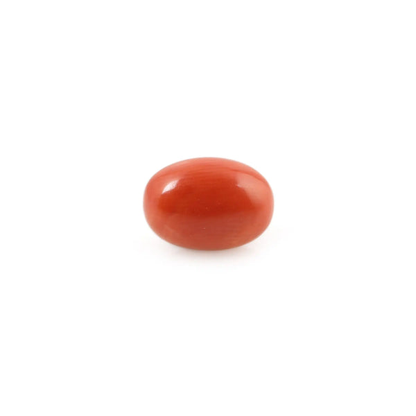 Red Coral - 4.26 Carat