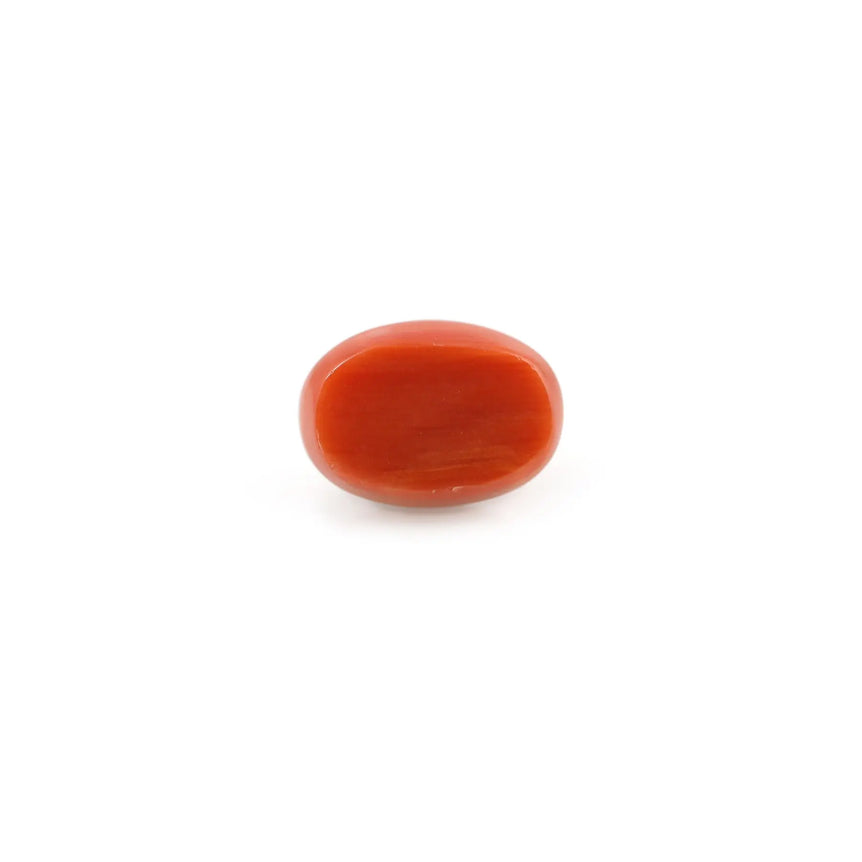 Red Coral - 4.26 Carat - Pramogh