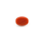 Red Coral - 4.26 Carat - Pramogh