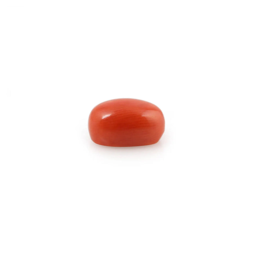 Red Coral - 4.26 Carat - Pramogh