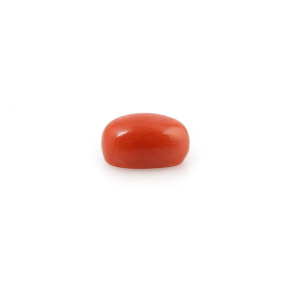 Red Coral - 4.26 Carat