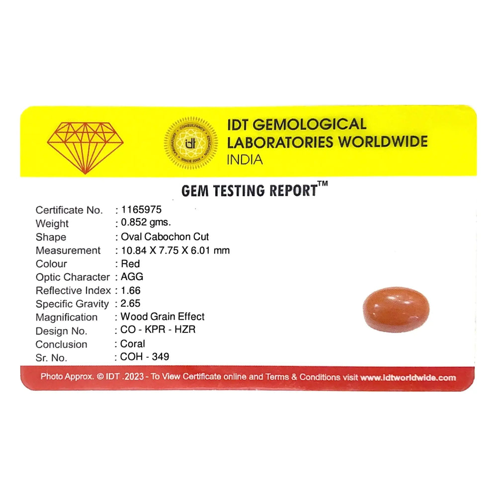 Red Coral - 4.26 Carat - Pramogh