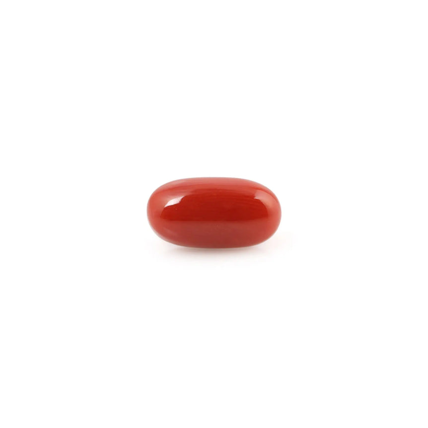 Red Coral - 4.8 Carat - Pramogh