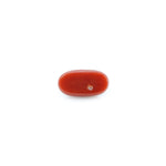 Red Coral - 4.8 Carat - Pramogh