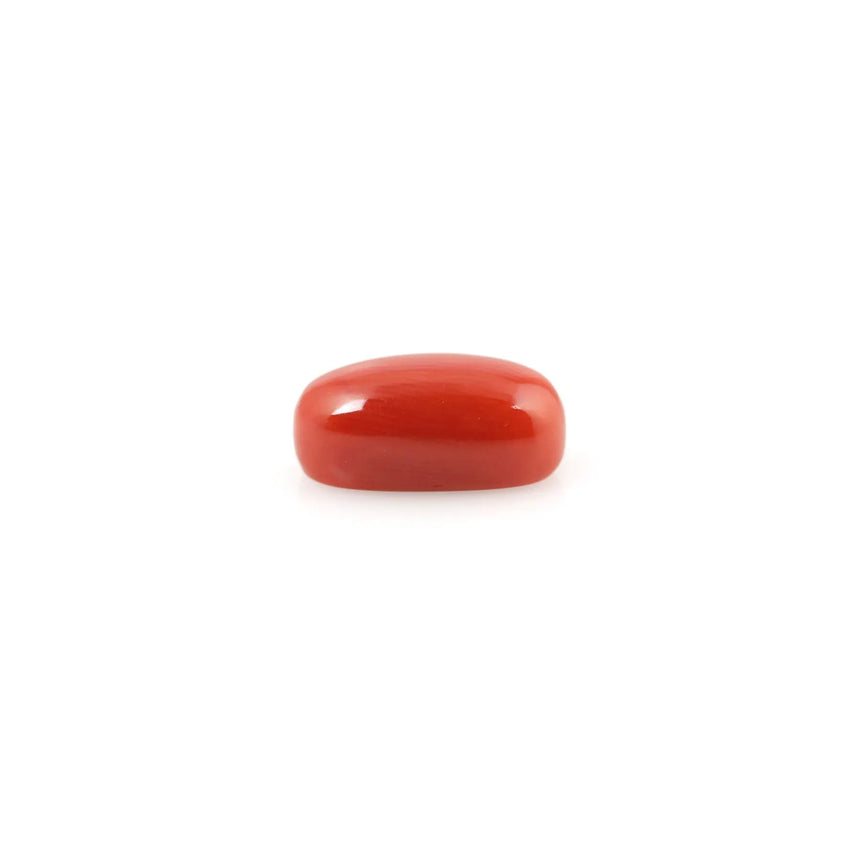 Red Coral - 4.8 Carat - Pramogh