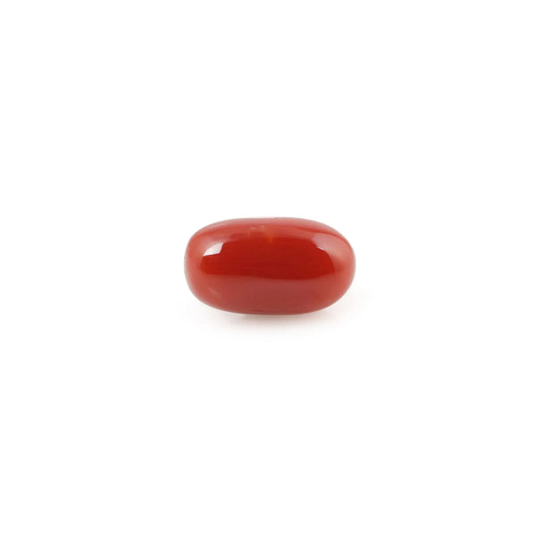 Red Coral - 5.23 Carat