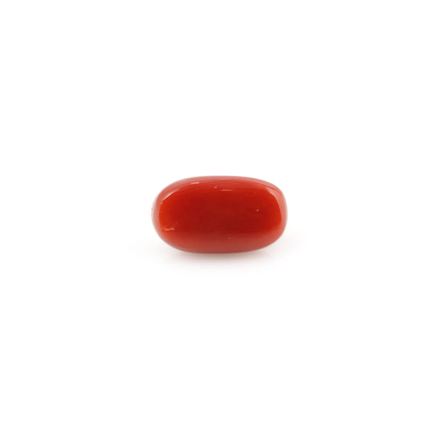 Red Coral - 5.23 Carat - Pramogh