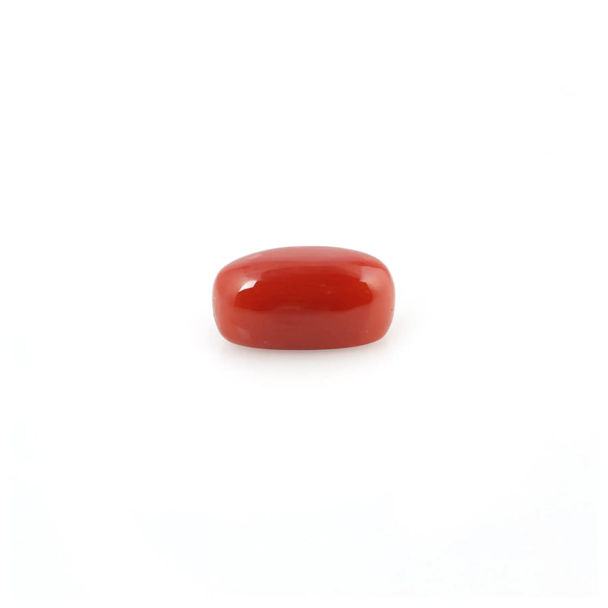 Red Coral - 5.23 Carat - Pramogh