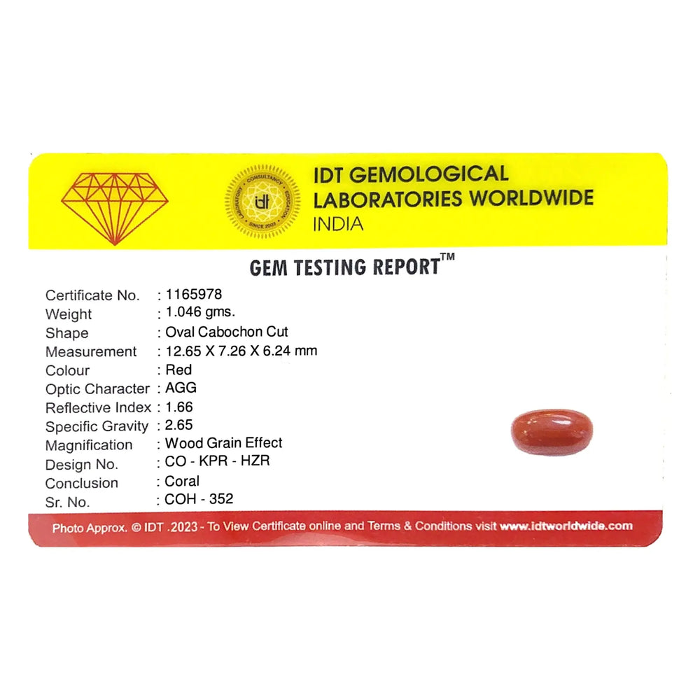 Red Coral - 5.23 Carat - Pramogh
