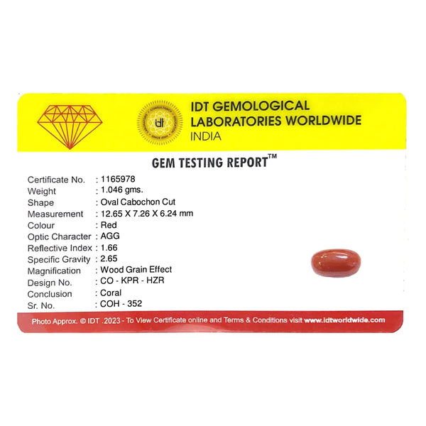 Red Coral - 5.23 Carat - Pramogh