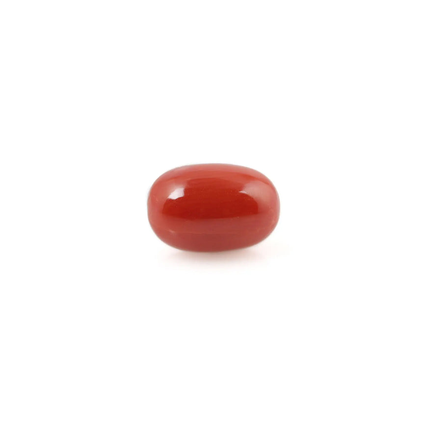 Red Coral - 4.61 Carat - Pramogh