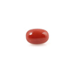 Red Coral - 4.61 Carat - Pramogh