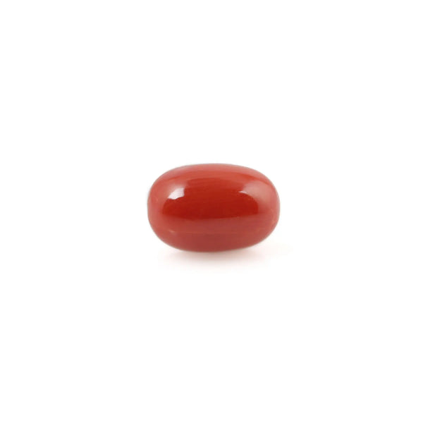 Red Coral - 4.61 Carat