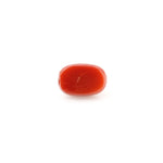 Red Coral - 4.61 Carat - Pramogh