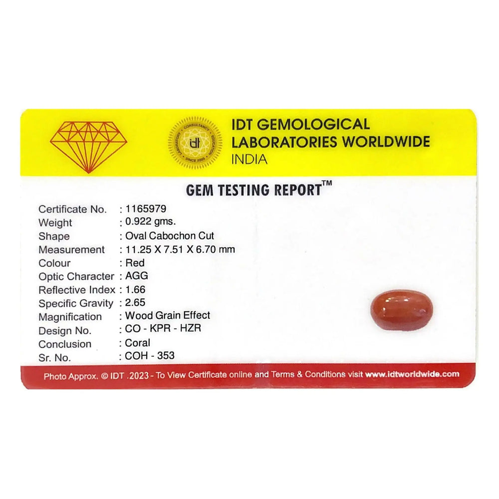 Red Coral - 4.61 Carat - Pramogh