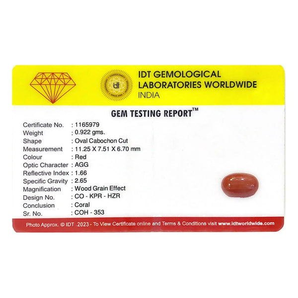 Red Coral - 4.61 Carat - Pramogh